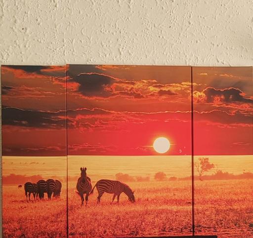 Buy & Sell Dunstable Central Bedfordshire - Photos for Large 3pt Safari art print Canvas