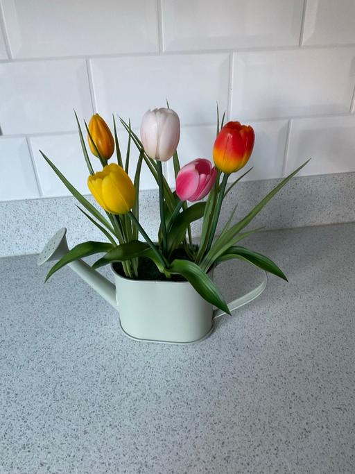 Buy & Sell Telford Way Industrial Estate North Northamptonshire - Photos for Next artificial flowers in metal watering can