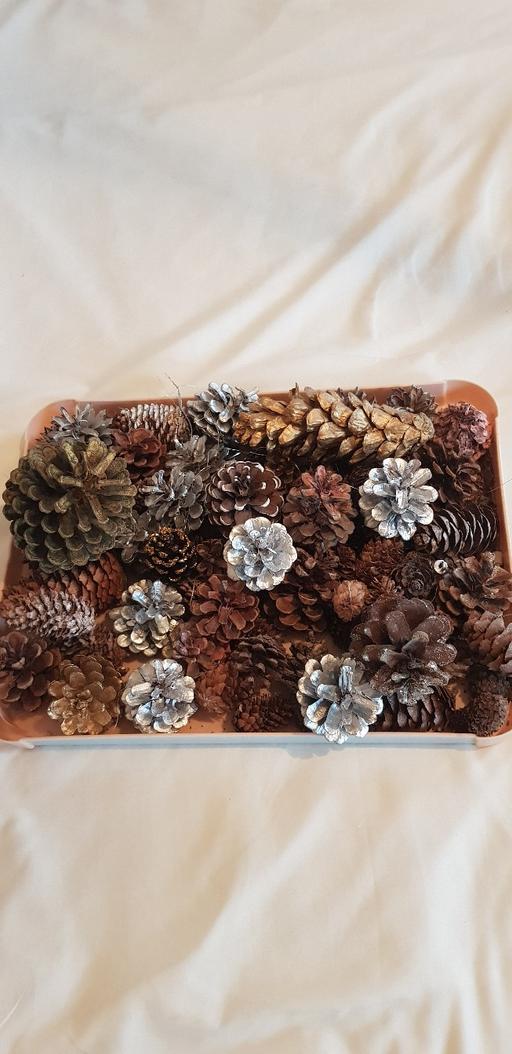 Buy & Sell Kings Norton Birmingham - Photos for Large amount of cones.