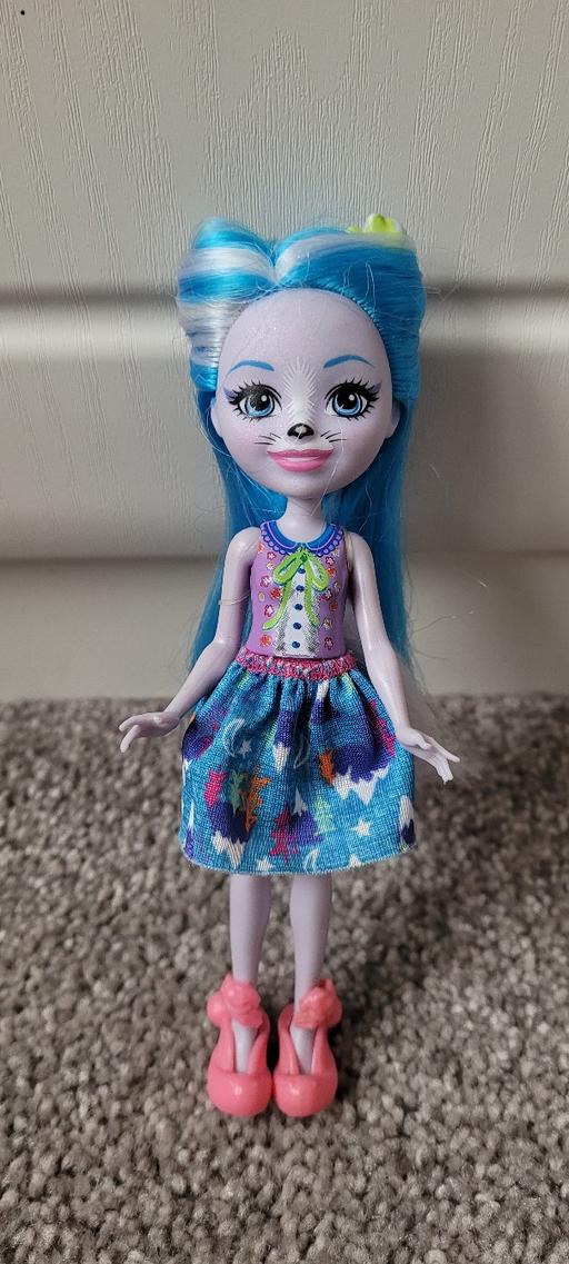 Buy & Sell Great Houghton Barnsley - Photos for Enchantimals winsley wolf doll