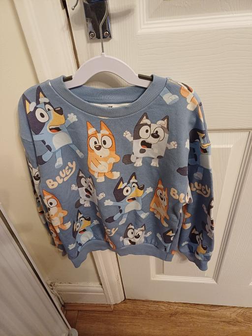 Buy & Sell Wickersley Rotherham - Photos for bluey sweatshirt