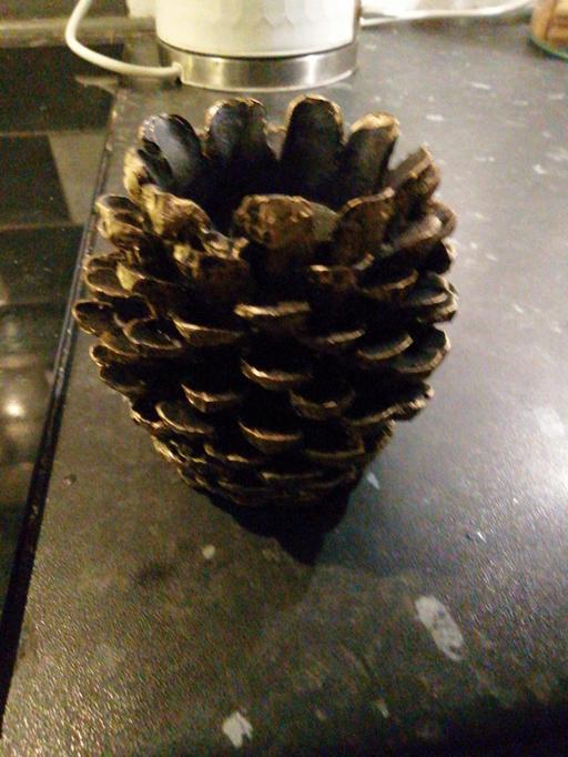 Buy & Sell Wednesfield Wolverhampton - Photos for Fircone Tee-Light Candle holder