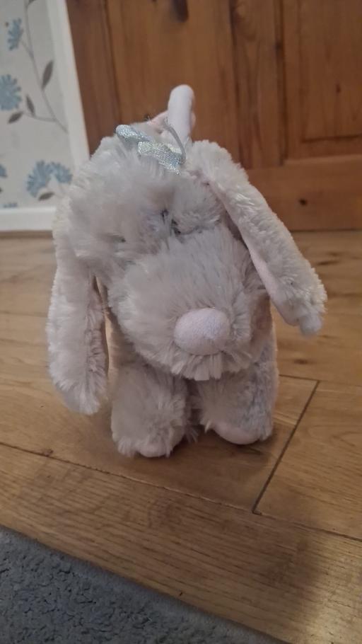 Buy & Sell Woodcross Wolverhampton - Photos for Dog handbag