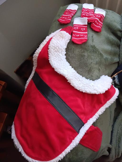 Buy & Sell Hall Green Birmingham - Photos for santa dog coat and socks