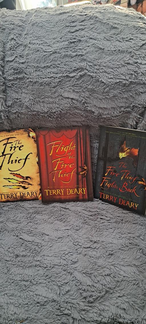 Buy & Sell Sutton Coldfield Birmingham - Photos for The fire thief books x3