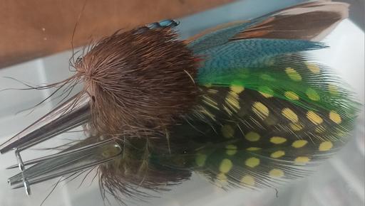 Buy & Sell Thatto Heath Saint Helens - Photos for vintage Scottish feather plume brooch