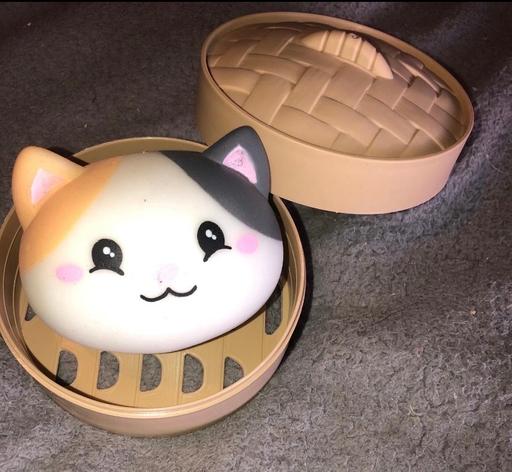 Buy & Sell Stow Heath Wolverhampton - Photos for New dumpling fidget