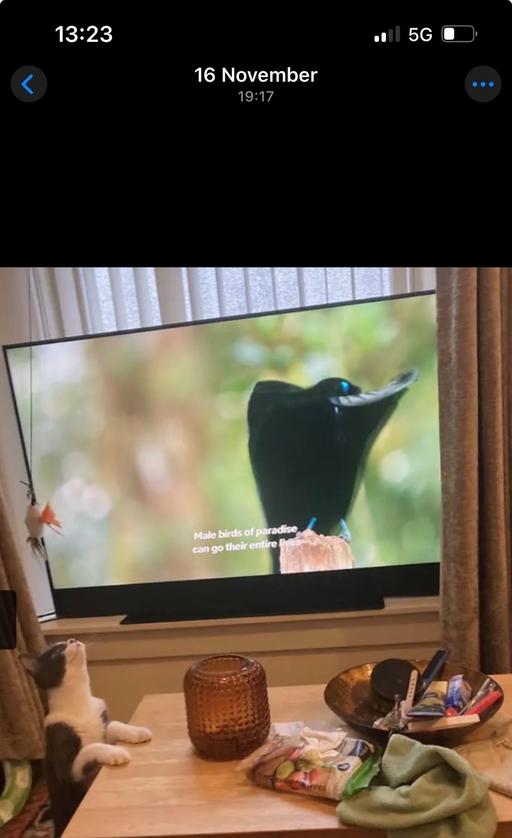 Buy & Sell Aberdeen City Centre Aberdeen - Photos for 55” 4K UHD Sky Glass Smart TV (Racing Green)