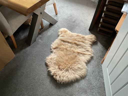 Buy & Sell Telford Telford and Wrekin - Photos for Small Shaggy Rug