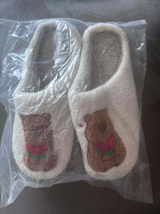 Buy & Sell Minworth Trade Park Birmingham - Photos for Capybara Slippers Womens Size 7-8 NEW