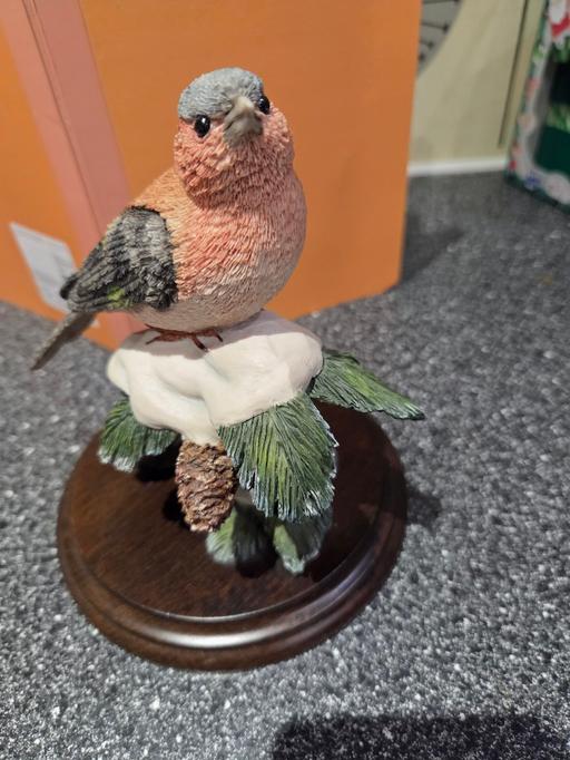 Buy & Sell Margate Thanet - Photos for LARGE CHAFFINCH COLLECTABLE ⁷
