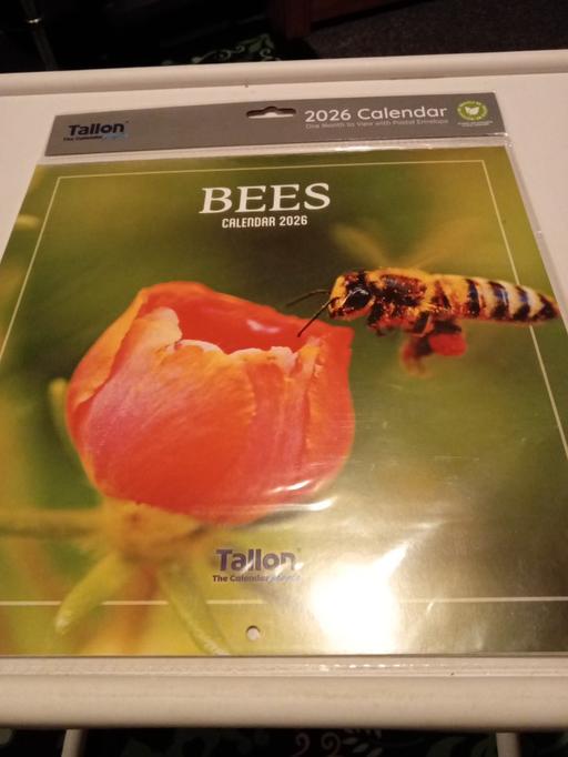 Buy & Sell Horncastle East Lindsey - Photos for 50p CLEARANCE SALE ITEM