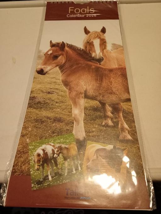 Buy & Sell Horncastle East Lindsey - Photos for 50p CLEARANCE SALE ITEM