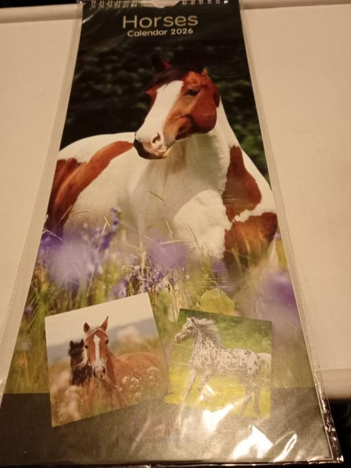 Buy & Sell Horncastle East Lindsey - Photos for 50p CLEARANCE SALE ITEM