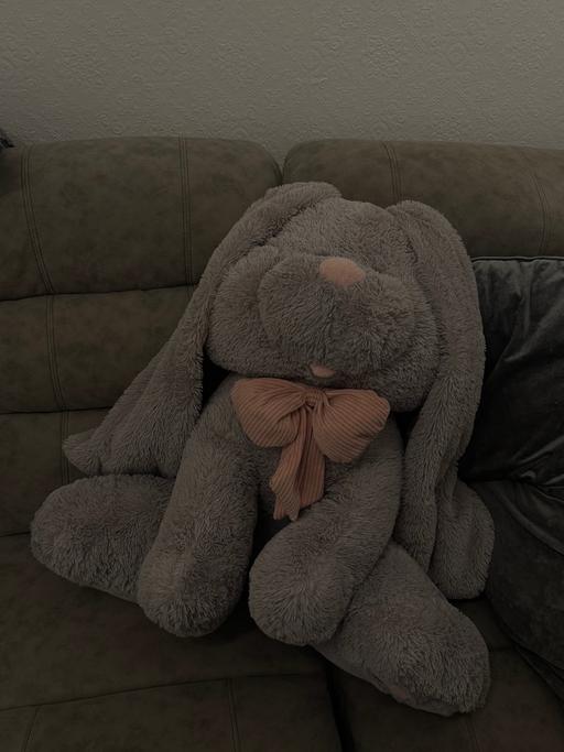 Buy & Sell Netherton Dudley - Photos for Large Bunny Teddy