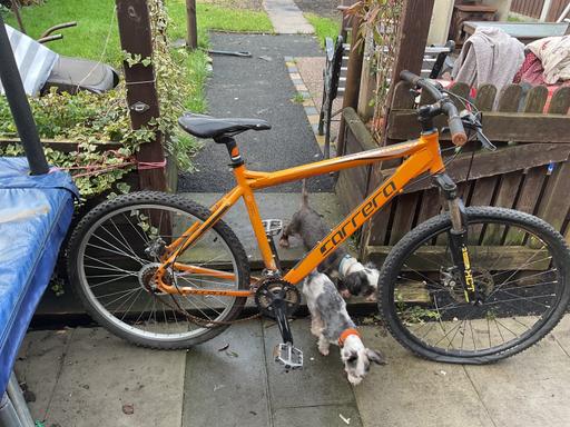 Buy & Sell Woodsetton Dudley - Photos for Carerra vengeance (orange)