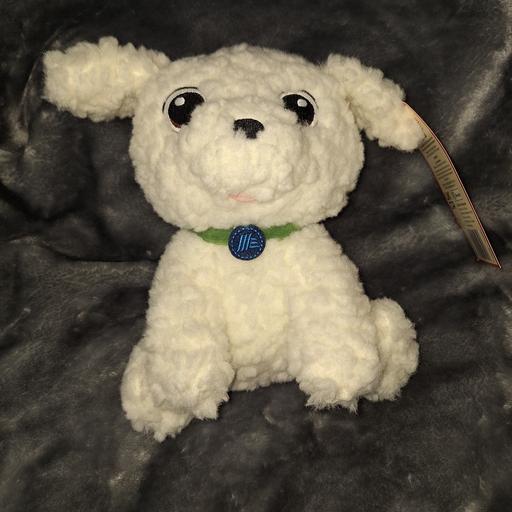 Buy & Sell Ardwick Manchester - Photos for cauli dog