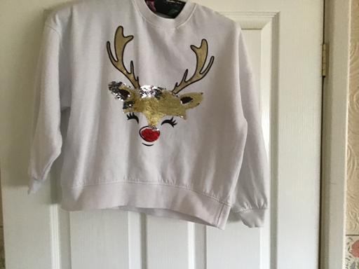 Buy & Sell Essington Wolverhampton - Photos for Christmas jumper / sweatshirt age 7/8