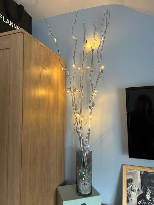 Buy & Sell Brierley Hill Dudley - Photos for Twig lights