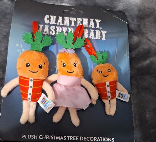 Buy & Sell Longsight Manchester - Photos for kevin the carrot tree decorations