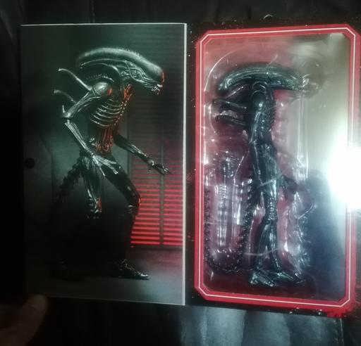 Buy & Sell Thorneywood Nottingham - Photos for Neca Alien Romulus figurine.