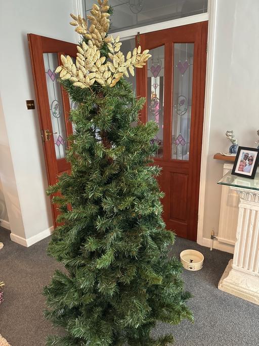 Buy & Sell Billericay Basildon - Photos for Christmas tree