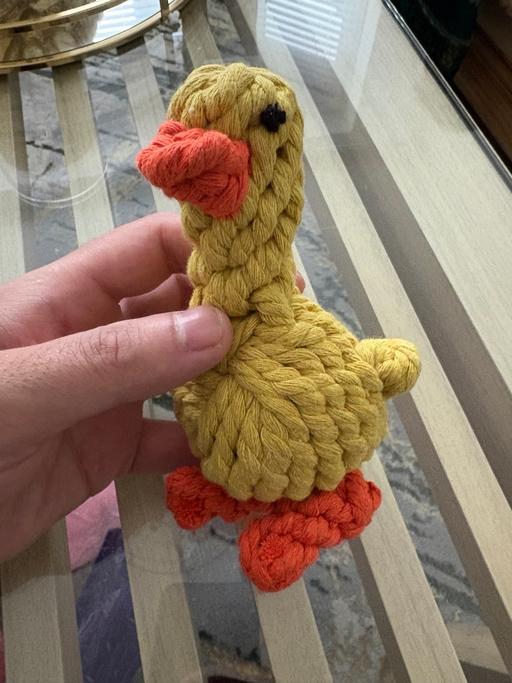 Buy & Sell Heath Park Havering - Photos for Duck toy