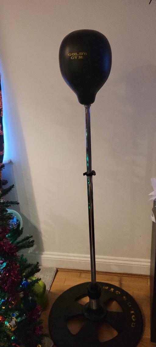 Buy & Sell Hook South West London - Photos for Punch Bag Gold's Gym - Quick Sale