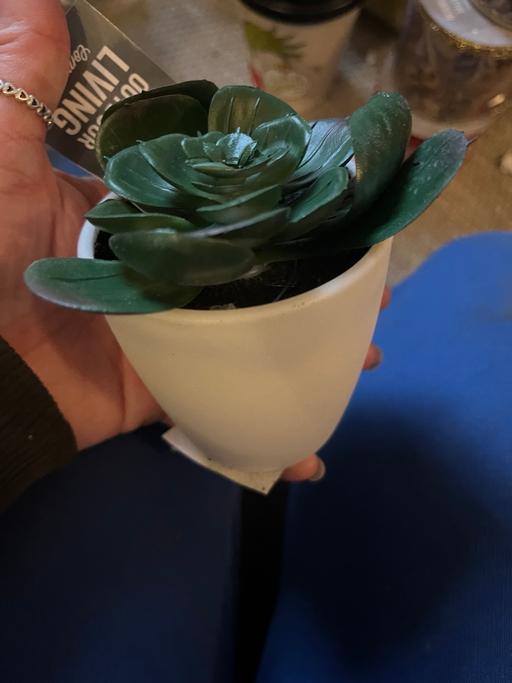 Buy & Sell Wednesfield Wolverhampton - Photos for New faux succulent plants 1£ each a few