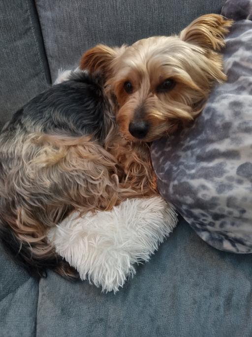 Buy & Sell Bournville Birmingham - Photos for Polite Notice