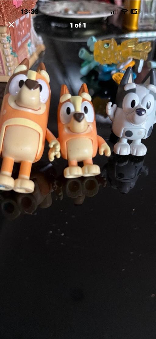 Buy & Sell Kingshurst Solihull - Photos for Bluey