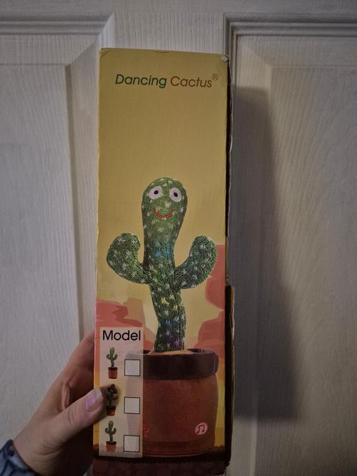 Buy & Sell Crumpsall Manchester - Photos for new Dancing Cactus