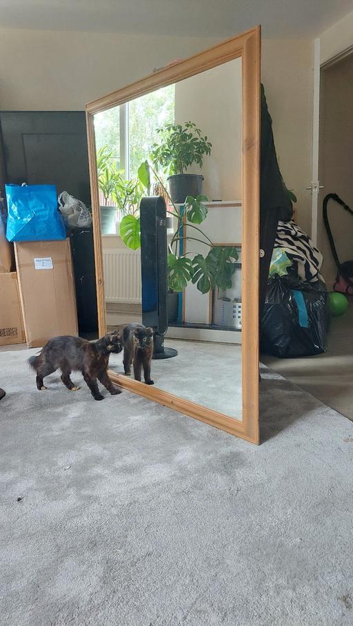 Buy & Sell Sheerness Swale - Photos for large mirror approx 4ft by 3ft