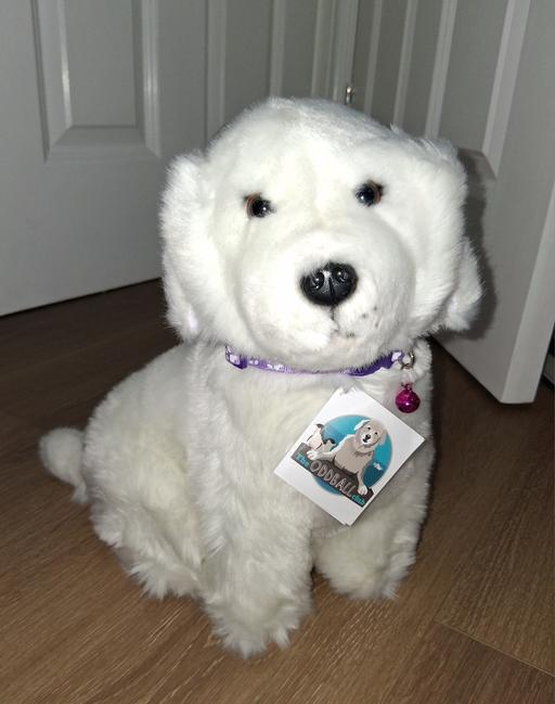 Buy & Sell Bradley Wolverhampton - Photos for soft toy dog