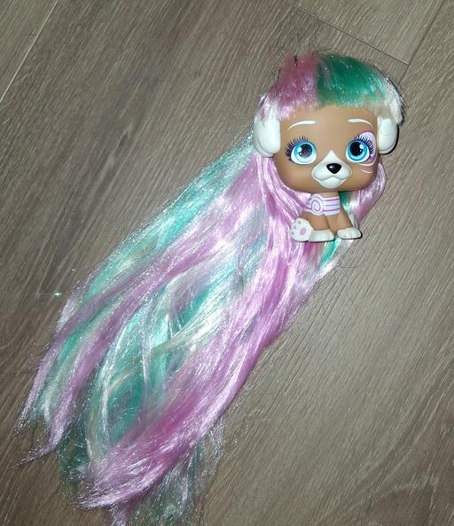 Buy & Sell Bradley Wolverhampton - Photos for vip pets glitter