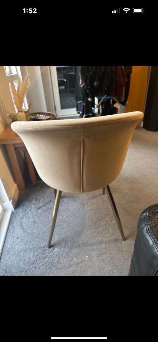 Buy & Sell Sark Guernsey - Photos for Chair