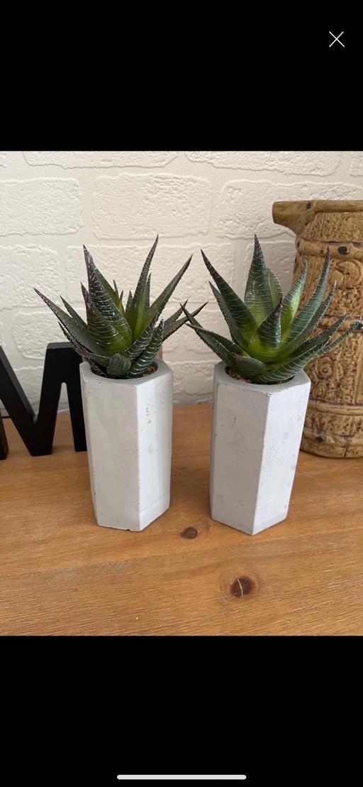Buy & Sell Conisbrough Doncaster - Photos for Household artificial plants in pot