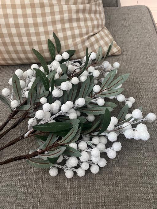 Buy & Sell Ackworth Wakefield - Photos for White berry stems x 4