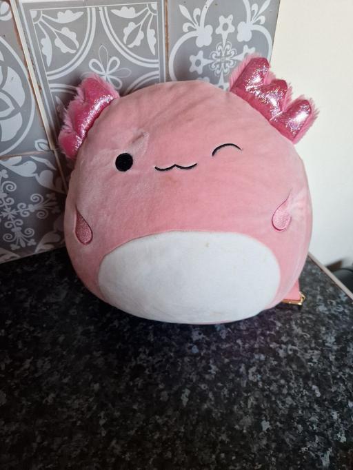 Buy & Sell Aylestone Leicester - Photos for squishmellows back pack