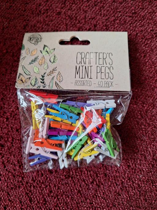 Buy & Sell Ettingshall Park Wolverhampton - Photos for New Crafting Mini Pegs