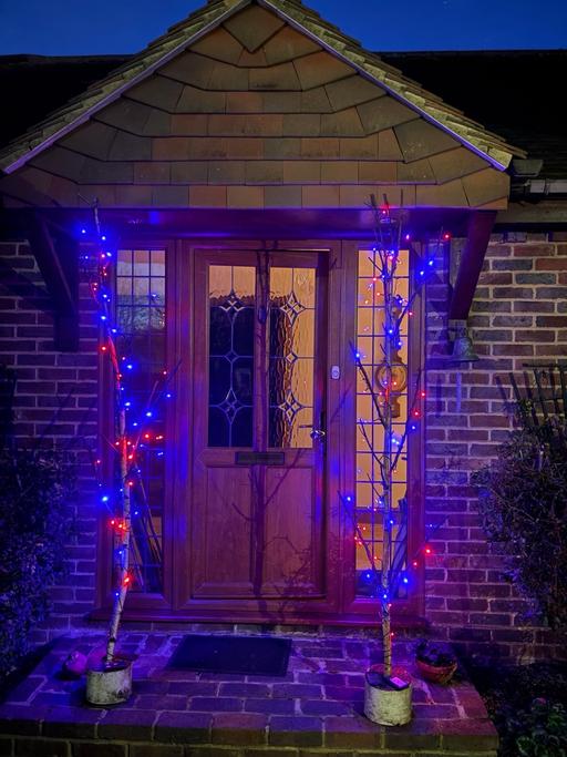 Buy & Sell Shorne Gravesham - Photos for Christmas lights on Trees