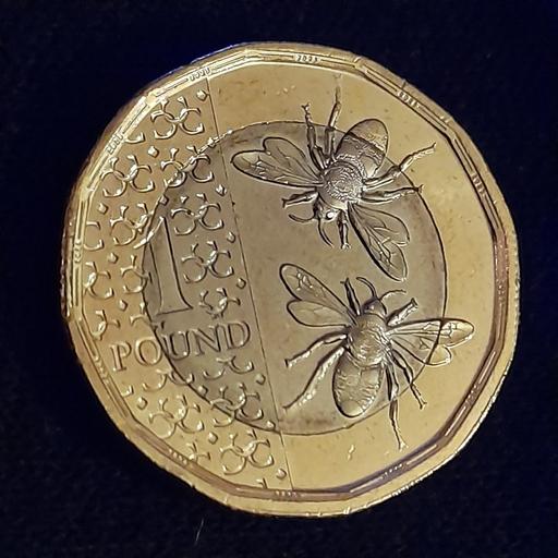 Buy & Sell Preston South Ribble - Photos for KING CHARLES 🐝 