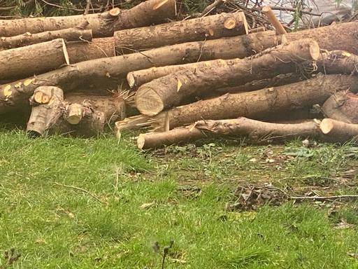 Buy & Sell Codsall Wolverhampton - Photos for Logs