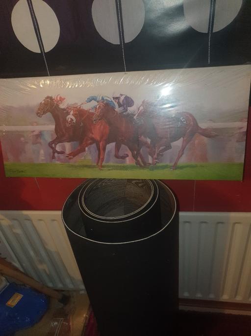 Buy & Sell Pensnett Dudley - Photos for BNIP , 2ft x 10 inch Horse Racing Painting