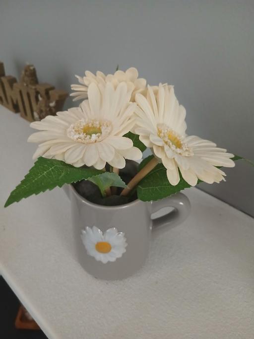 Buy & Sell Bradley Fold Trading Estate Bury - Photos for Artificial Used Good Con