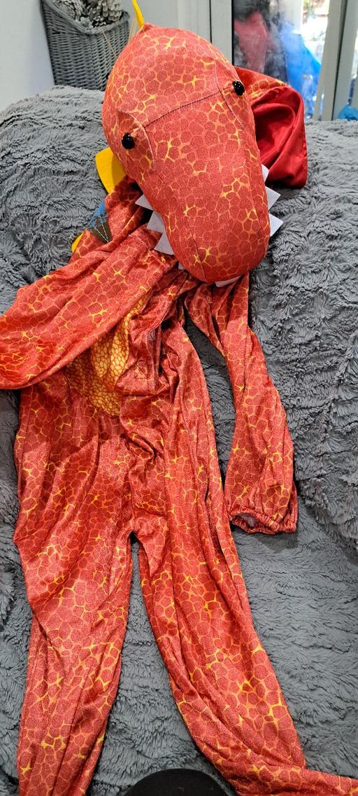 Buy & Sell Four Oaks Birmingham - Photos for Dragon costume Age 7-9