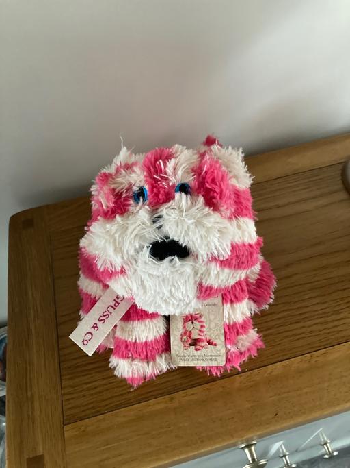 Buy & Sell Sedgley Dudley - Photos for Microwaveable bagpuss