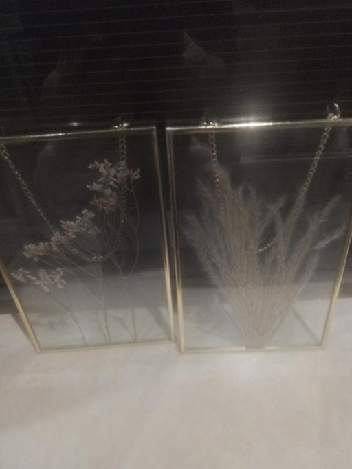 Buy & Sell Aldridge Walsall - Photos for TWO SMALL HANGING FRAMES WITH GRASSES