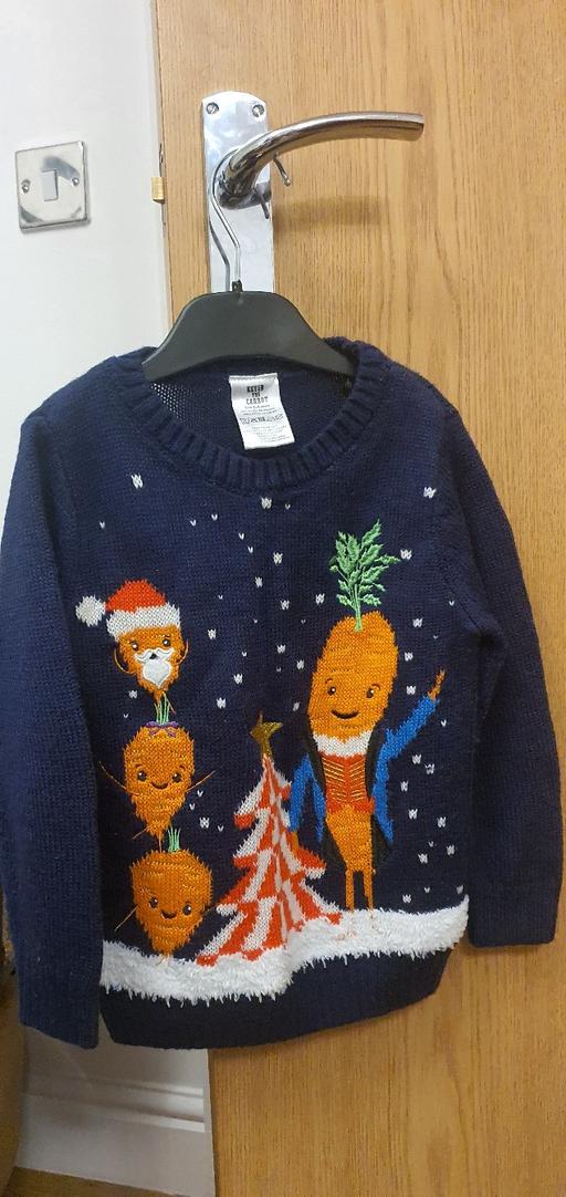Buy & Sell Edgbaston Birmingham - Photos for Kevin the Carrot Christmas Jumper Age 3-4