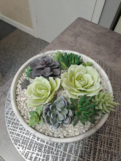 Buy & Sell Park Hill Sheffield - Photos for large artificial plants